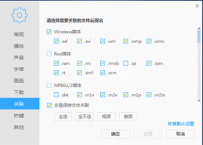 迅雷影音支持的本地字幕格式有哪些？