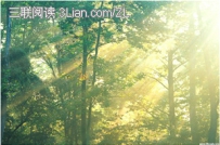 种植树木雨季时注意什么
