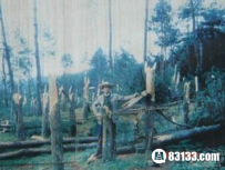揭秘22年前空中怪车事件的神秘现象