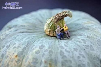 小人国的世界（14张）