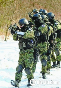 探秘韩国特种部队 认识宋仲基部队原型