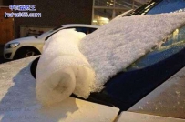 雪下的太大