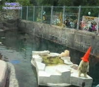 二货熊。。。