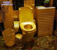 土豪家的金厕所