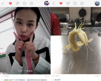 教育部公布十大网络用语 快手热词“扎心了老铁”入榜