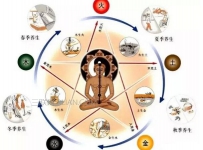 人体五脏要如何保养