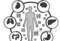 人体微量元素有哪些