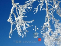 小雪养生注意事项