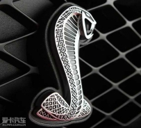 福特野马gt500报价 进口福特野马GT500眼镜蛇