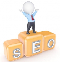 2016年对于一个seo的新手老手来说都是一个灰色年