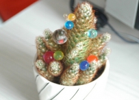 7种植物迅速清除卫生间异味