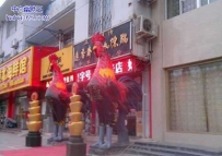 神兽又出来新款了