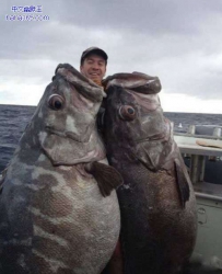 出海收获不错