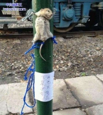 2货同事太会玩了