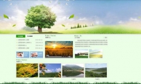 营销型网站如何建设呢