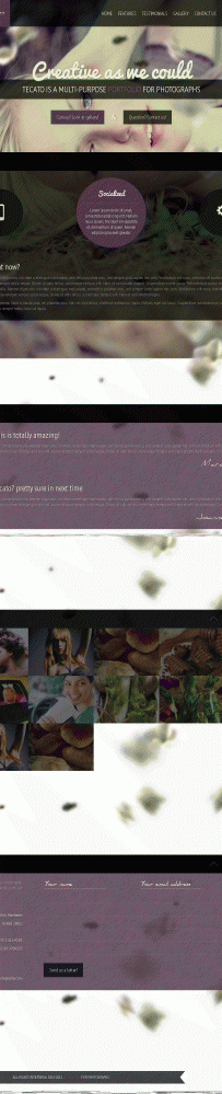 2014年172套html5+html模板免费大放送asp300 576292014年（172款）636Tecato