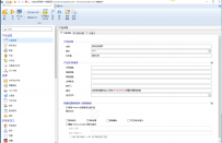 安装包制作工具 Advanced Installer v19.2 简体中文汉化版