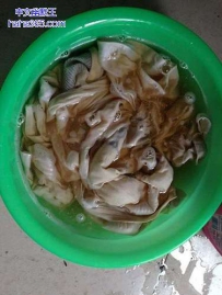 醋泡一下泛黄的衣服能回到原来吗