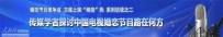 电视相亲节目路在何方? 回归真情、真爱