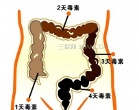 如何有效的清宿便