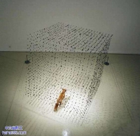 悬挂的艺术品（9张）