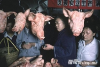 老照片，80年代的中国，生活轻松，民风淳朴
