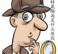 转氨酶高是怎么回事