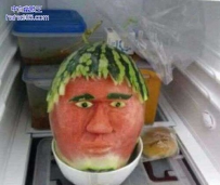 一开冰箱吓死我了