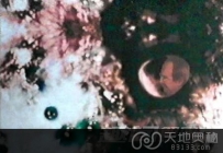 盘点：全球10大最不可思议的灵魂转世实验