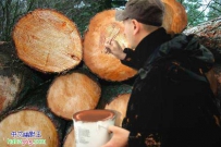 为了卖个好价钱