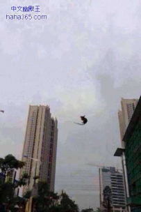 大风吹呀吹呀，耗子就上天了