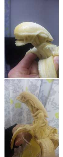哪位牛人吃的香蕉了