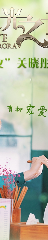 电视剧《极光之恋》全集 剧情介绍 在线观看资源