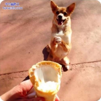 主人 早上好