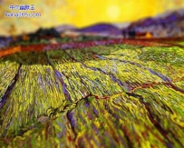移轴摄影-—梵高的油画（12张）