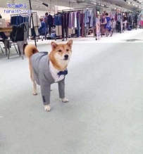 明天要去相亲了