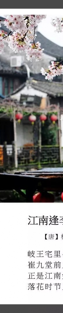 当大诗人遇上大歌星，会擦出怎样的火花？
