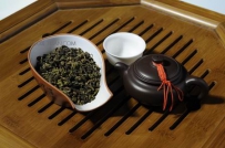 普洱茶的采制技术