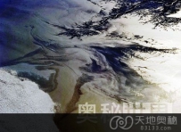 盘点细菌12大益处（图）