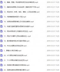 黑帽SEO泛目录快速排名技术