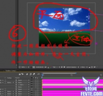 After Effects 打造金色向日葵花田