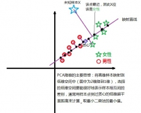 PCA+LDA人脸判断性别