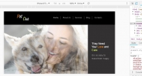Pet club 2014年172套html5+html模板免费大放送asp300 57629\2014年（172款）\1011