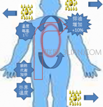 新陈代谢快好还是慢好
