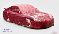 肉身车