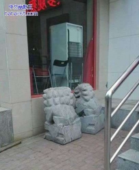 你俩在偷看啥呢