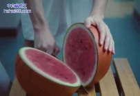 西瓜新品种，篮球迷最爱