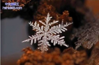 创意的雪花图案