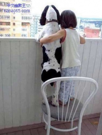 你有没有一只，陪你一起长大