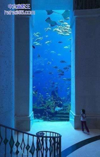 迪拜的海底世界